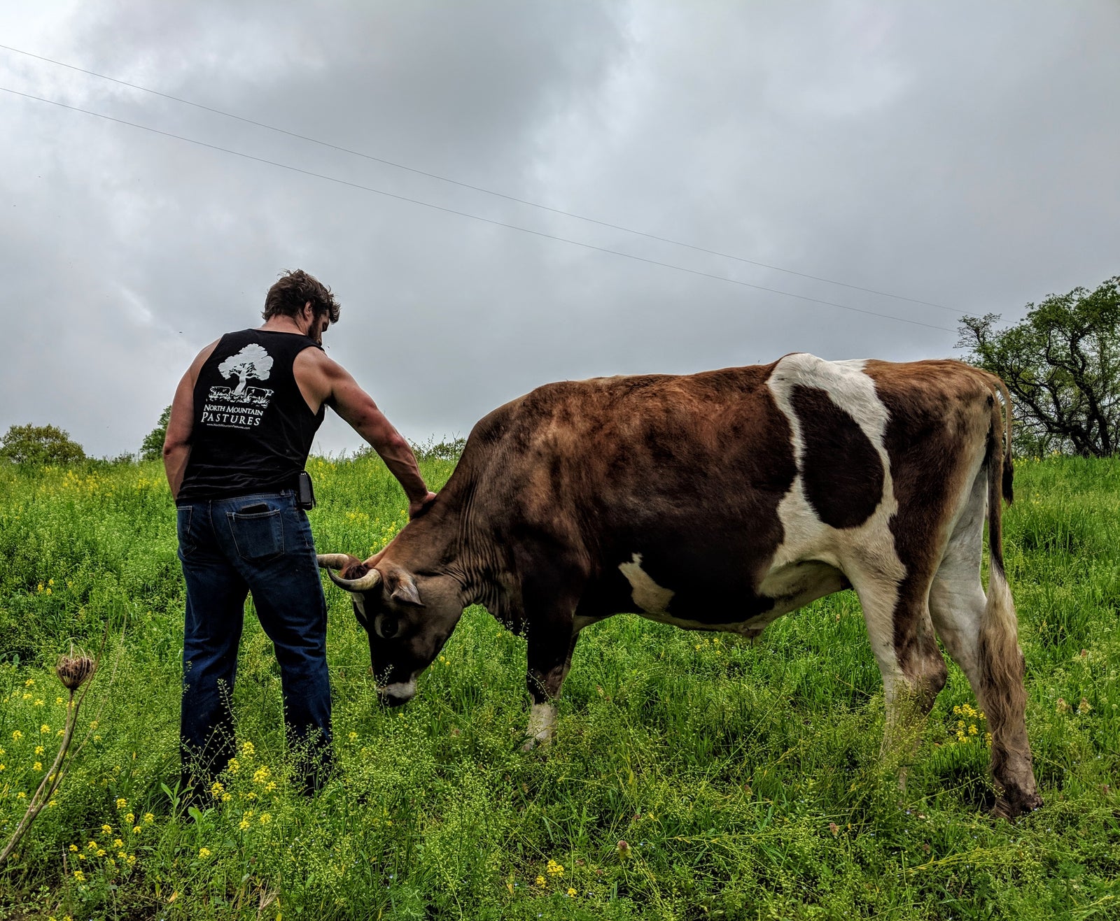NMP mission: human, animal, and soil health