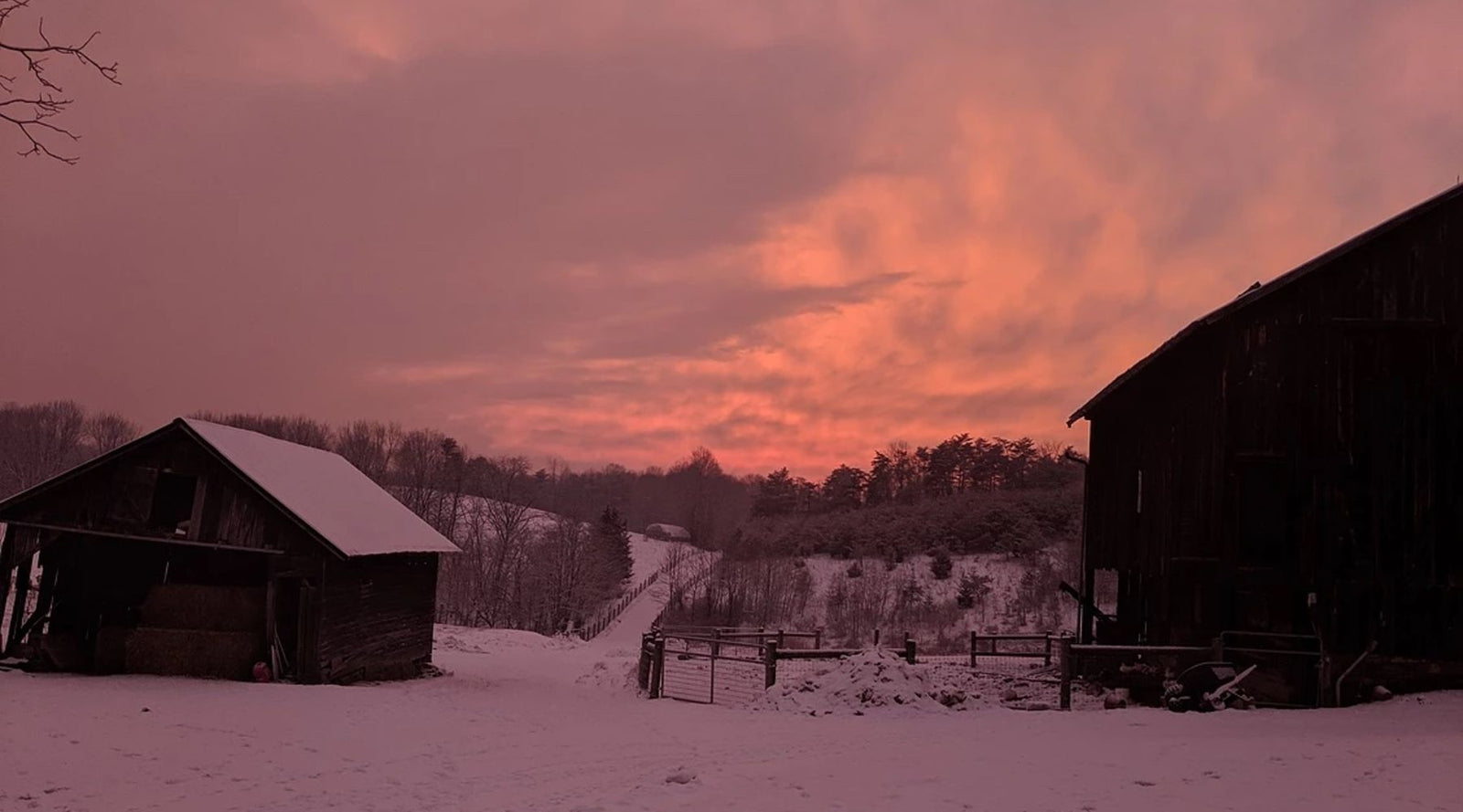 Winter on the Farm