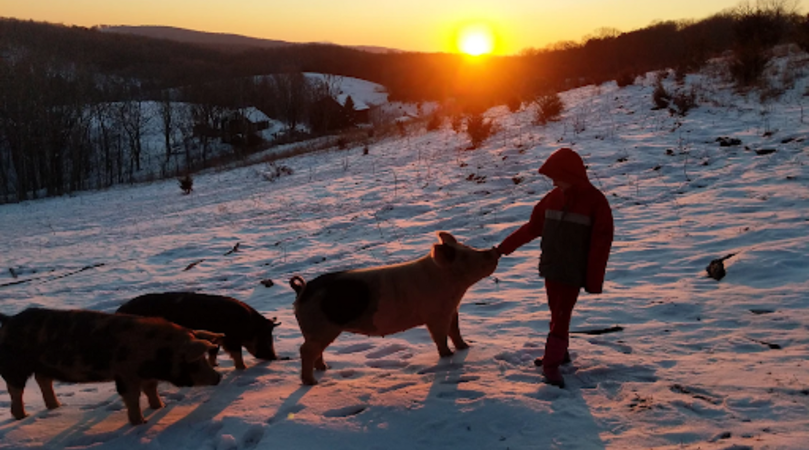 Face to Face with Your Food