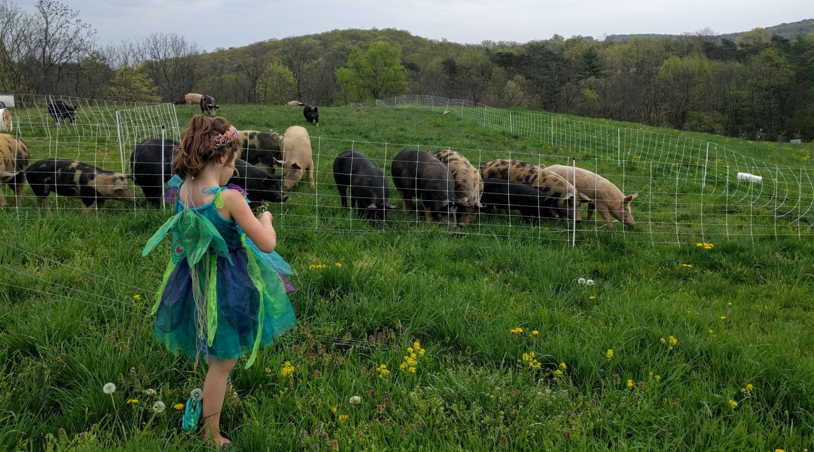 Top Ten Reasons to Subscribe