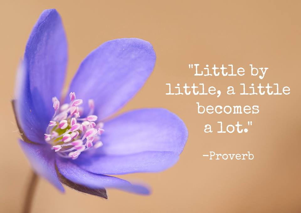 Little by Little, a Little Becomes a Lot