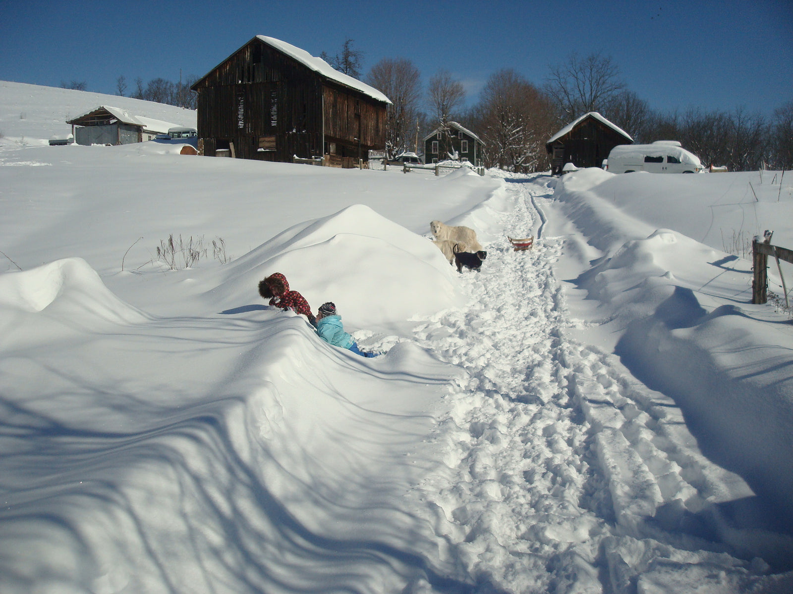 A Story of Stuck and Strength, Best Chili